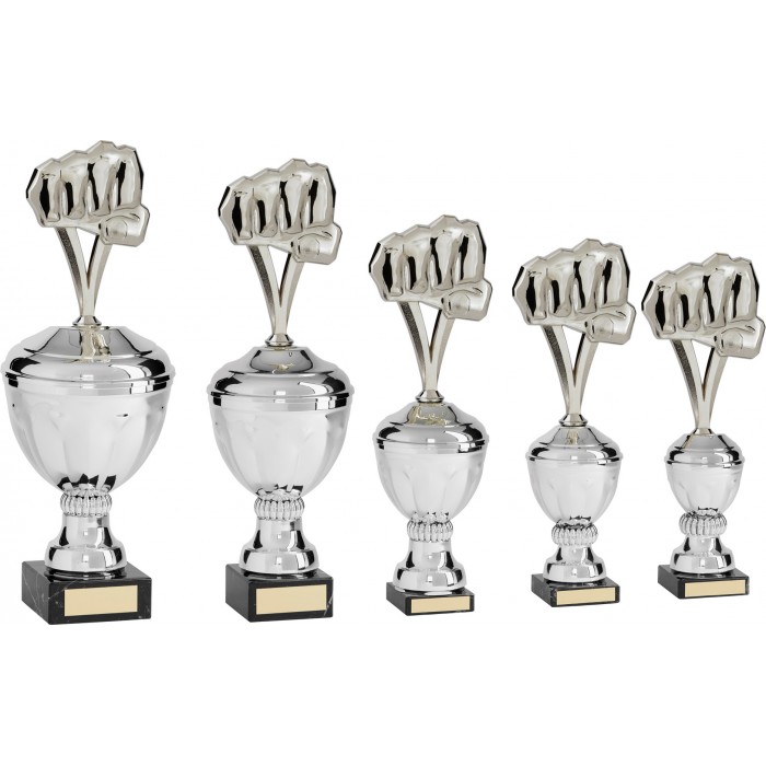 FIST PLAQUE METAL TAEKWONDO TROPHY  - AVAILABLE IN 5 SIZES